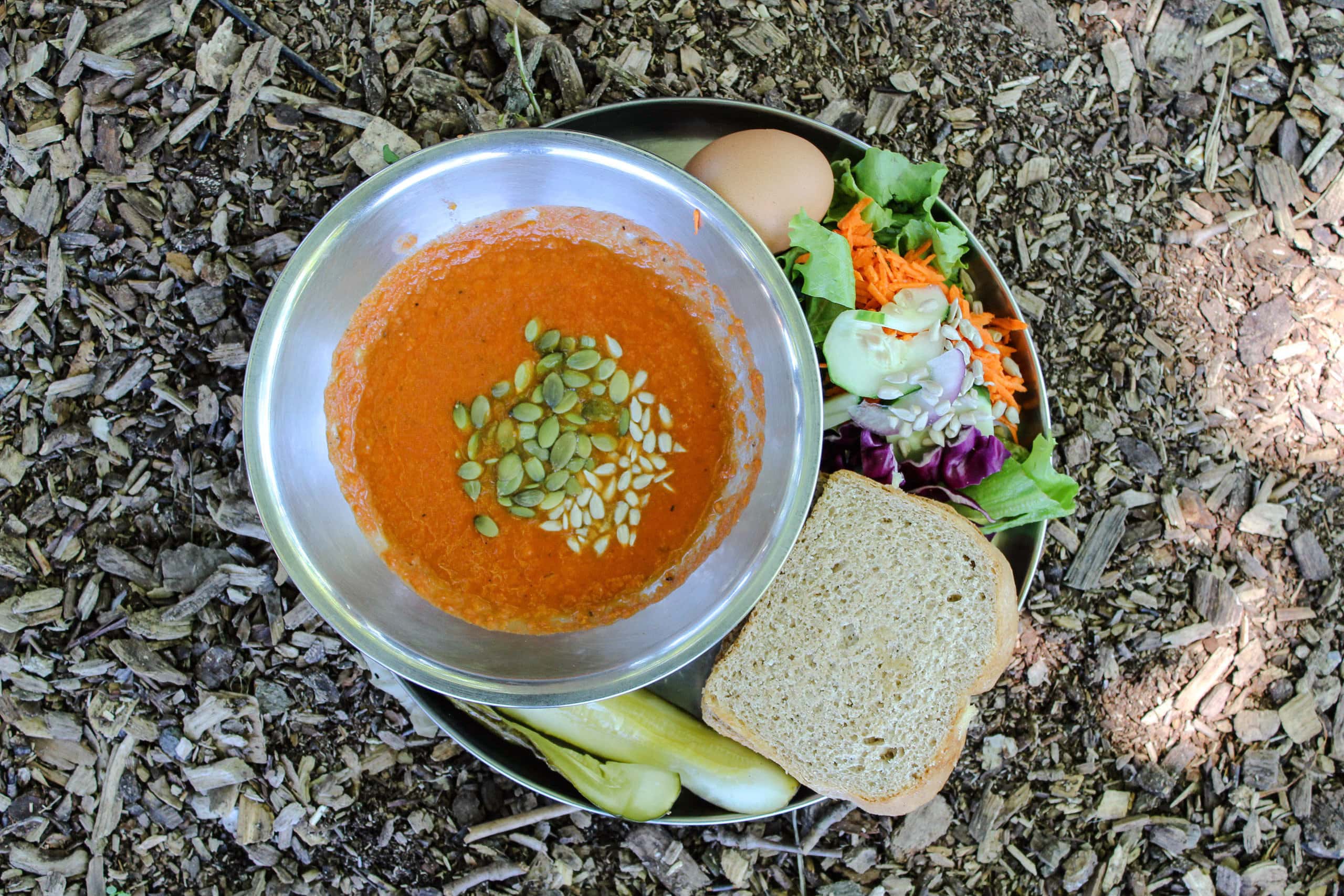 organic soup and salad from the garden