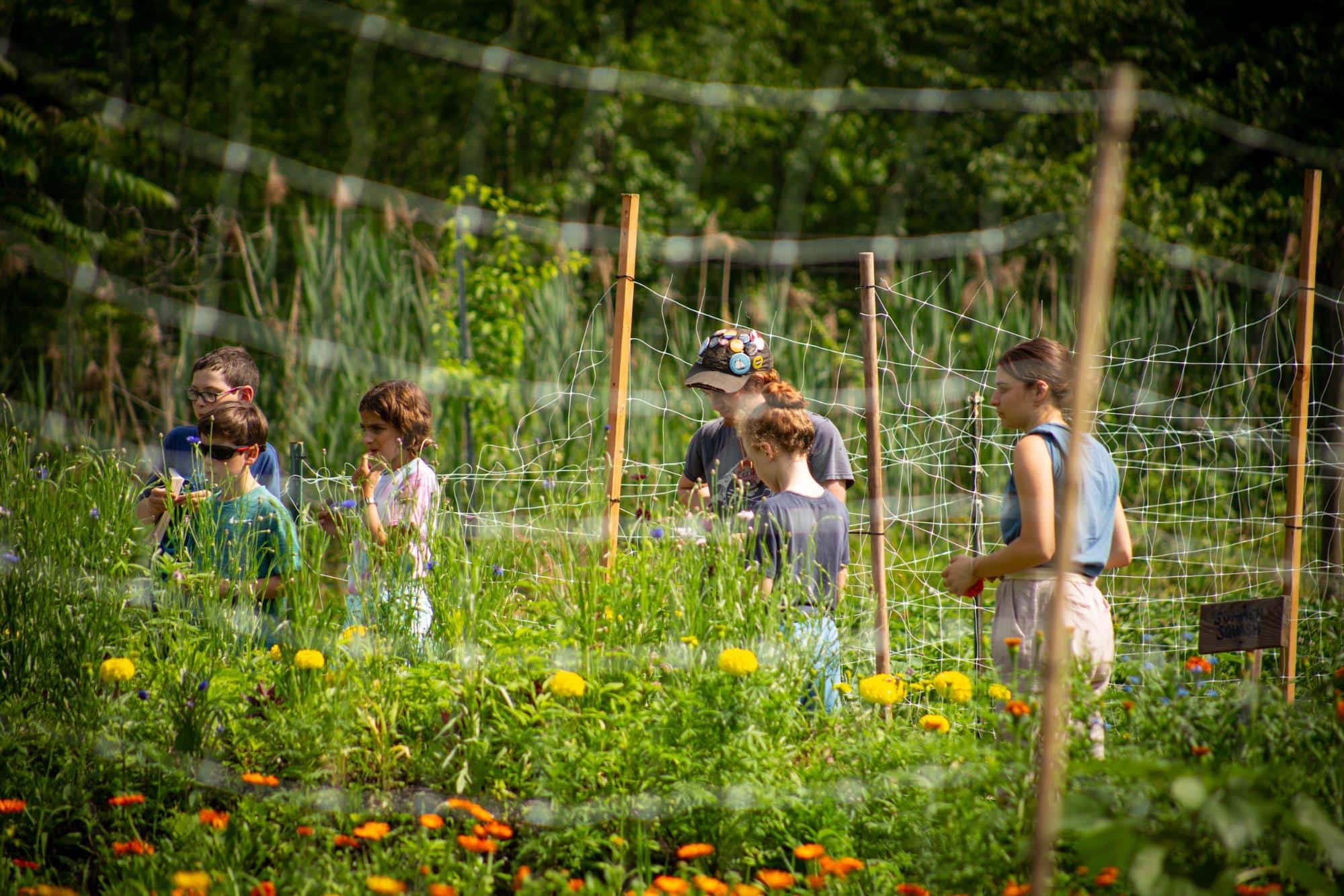 Children and adults engage in a garden, surrounded by flowers.